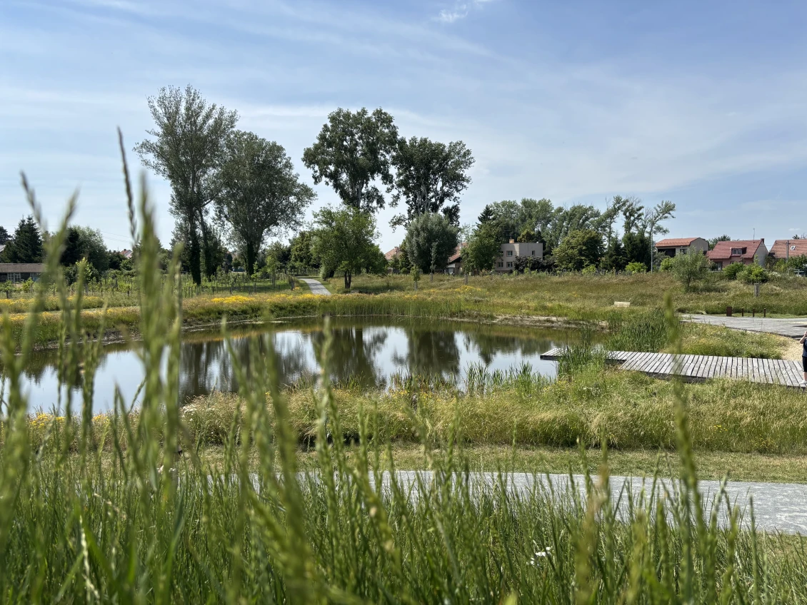 On the second day, conference participants visited the revitalised Ploštiny Park in Lužice.