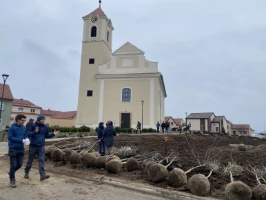 Das Herz von Moravská Nová Ves wird wieder grün.  Wir haben eine Allee und einen Park bei der Kirche angelegt.