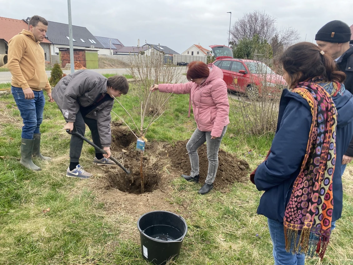 Bürgermeisterin Zuzana Jandáková (in rosa Jacke) und Vizebürgermeister Jiří Fila (in gelbem Sweatshirt) sind mit Begeisterung bei der Pflanzaktion dabei gewesen.