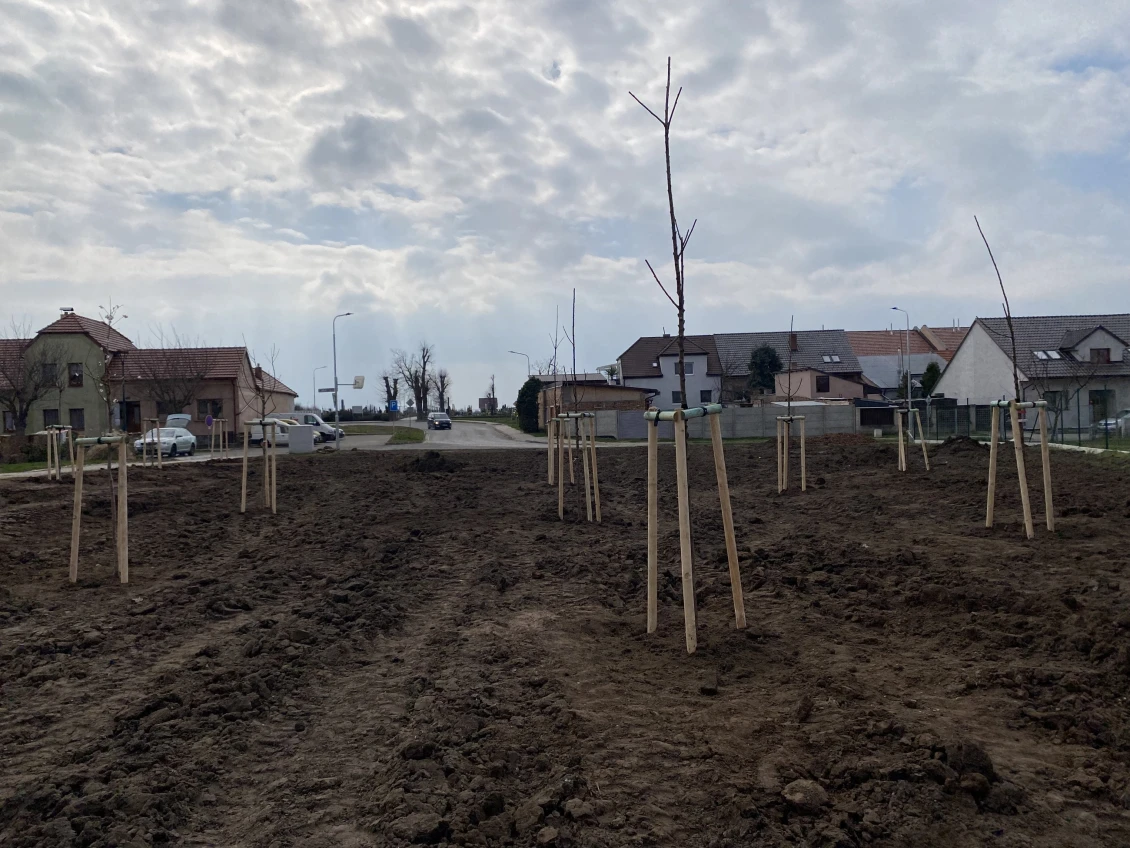 Parcul de lângă biserica din Moravská Nová Ves va fi ecologizat în acest an.